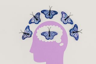 Creative illustration of butterflies representing thoughts over a brain silhouette.